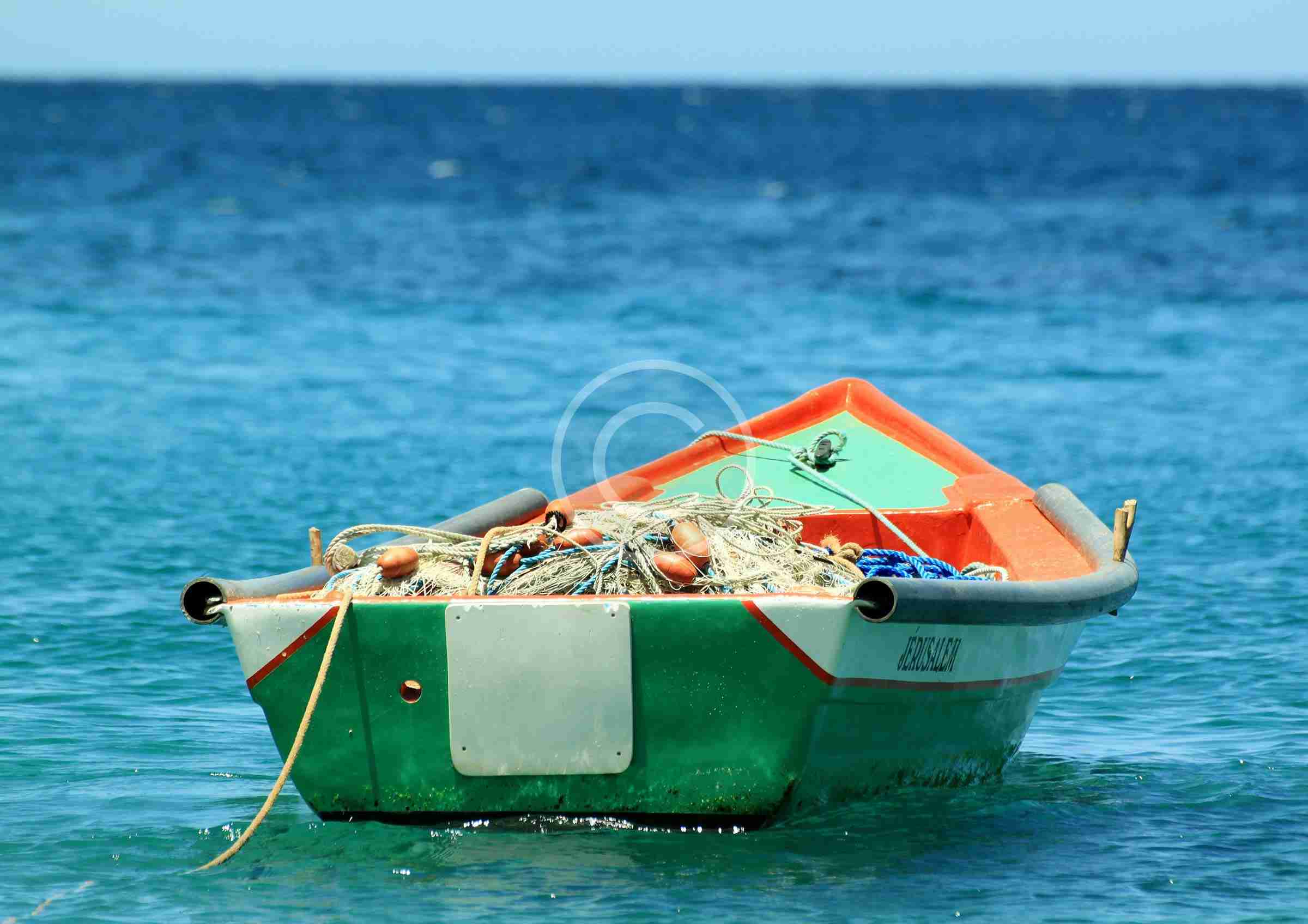 Avoiding Overfishing: Biologists Warn Fishermen